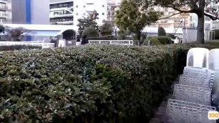 波多野结衣-嫁の母親に中出ししてしまった